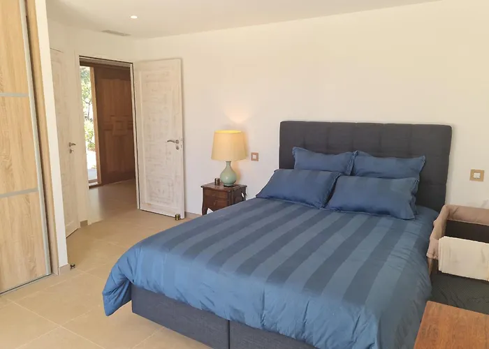 Villa Climatisée 6 Pièces Avec Piscine Privée, 5 Chambres, Domaine De La Nartelle - Fr-1-780-67